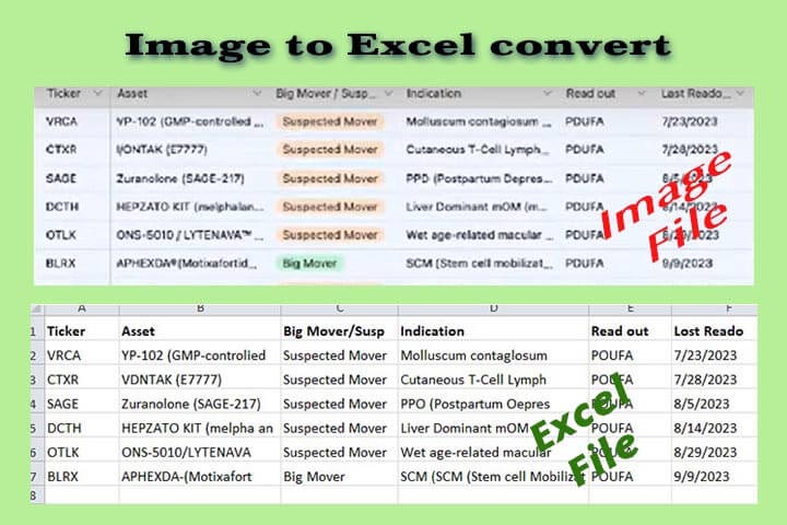 Image to excel convert