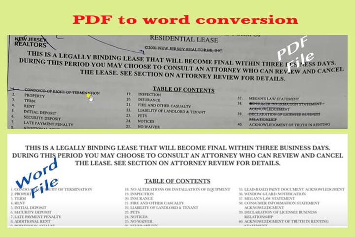 PDF to word conversion